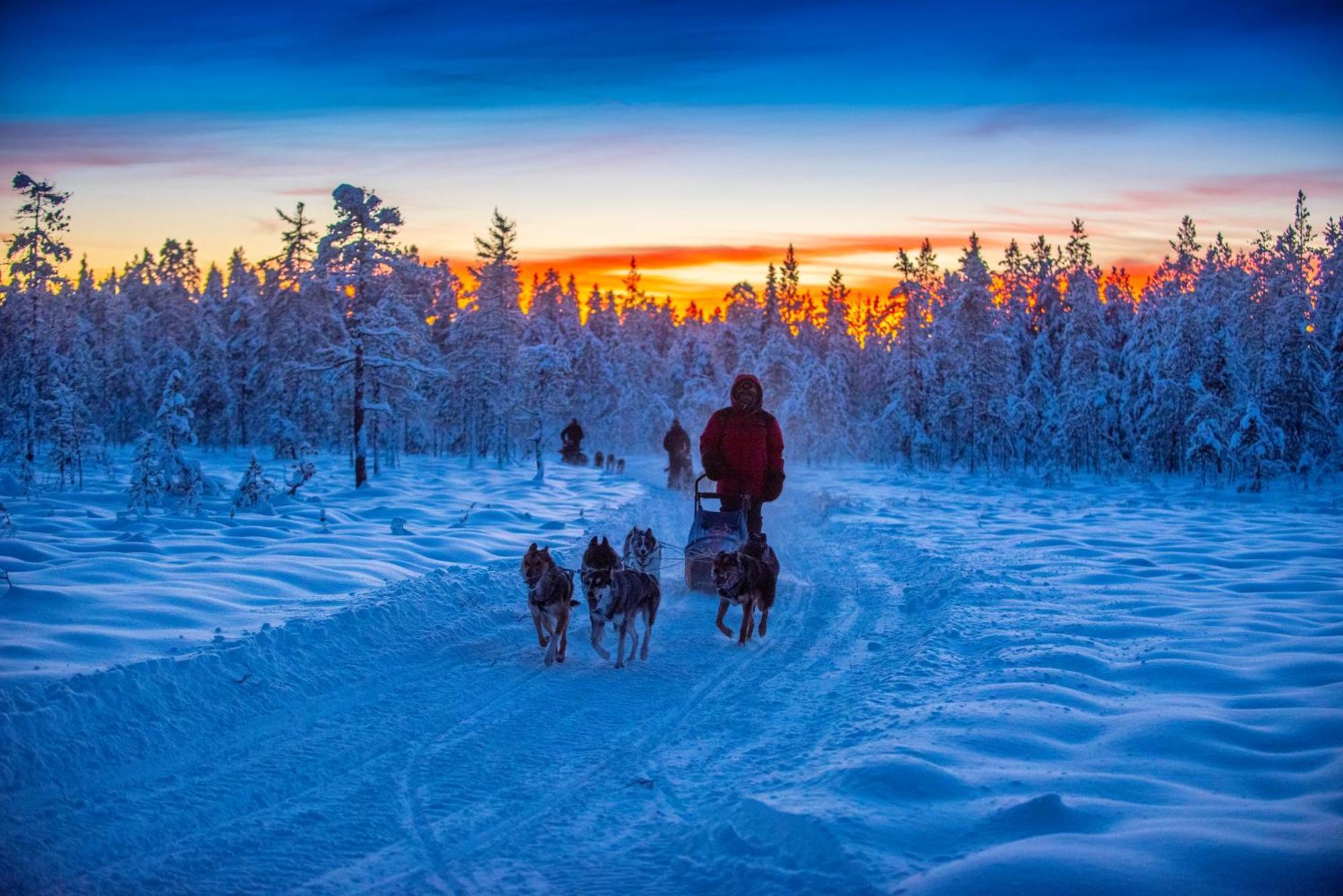 Arctic River Lodge Tarendo Екстериор снимка